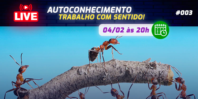 [LIVE #3]: AUTOCONHECIMENTO: Trabalho com sentido!